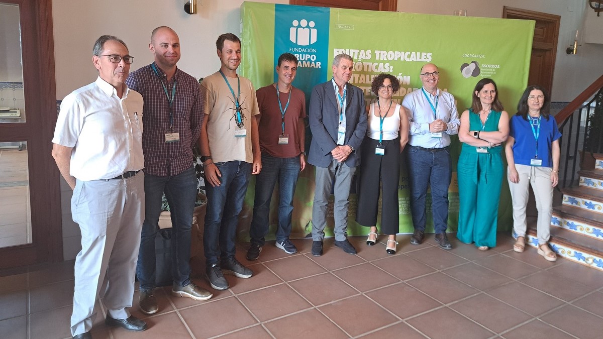 Foto jornada frutas exotica